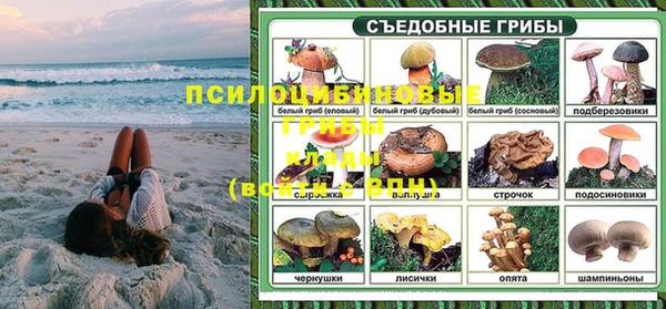ГАЛЛЮЦИНОГЕННЫЕ ГРИБЫ Бугульма