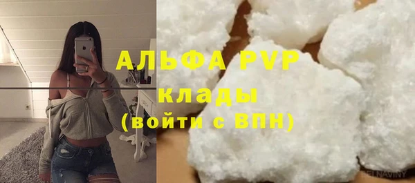 трава Бородино