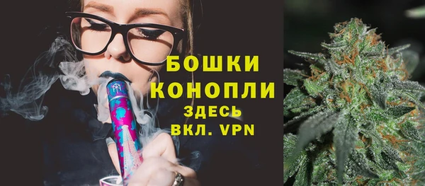 трава Бородино
