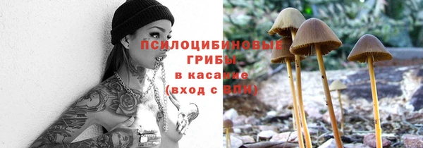 ГАЛЛЮЦИНОГЕННЫЕ ГРИБЫ Бронницы